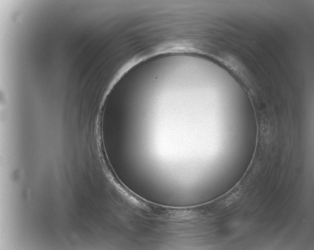 X0000060801382200511171230