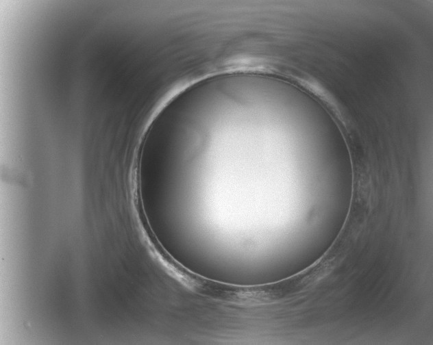 X0000060801383200511171230