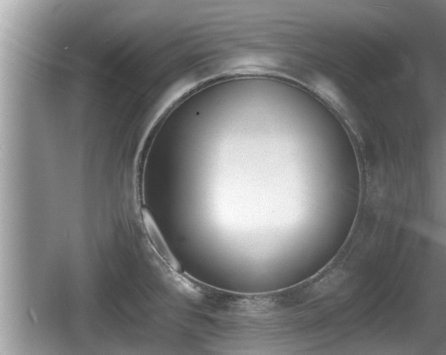 X0000060801384200511171230