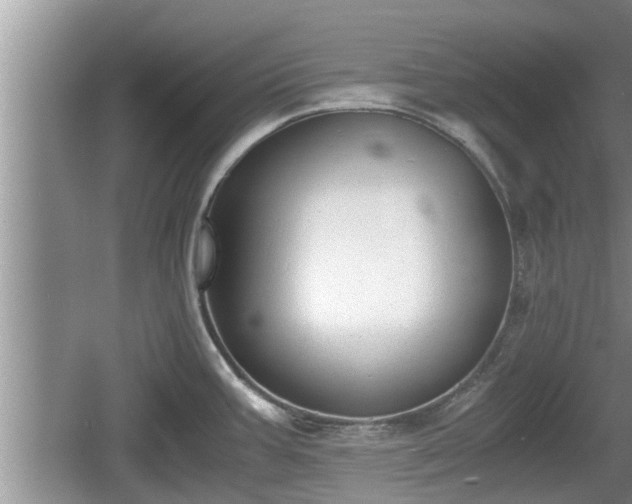 X0000060801387200511171230