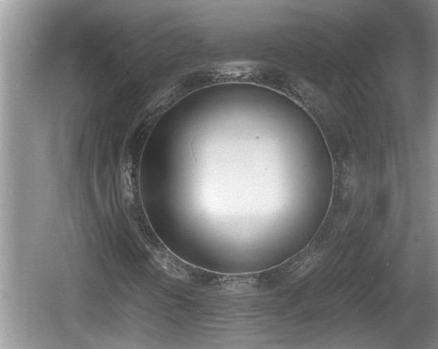 X0000060801394200511171229