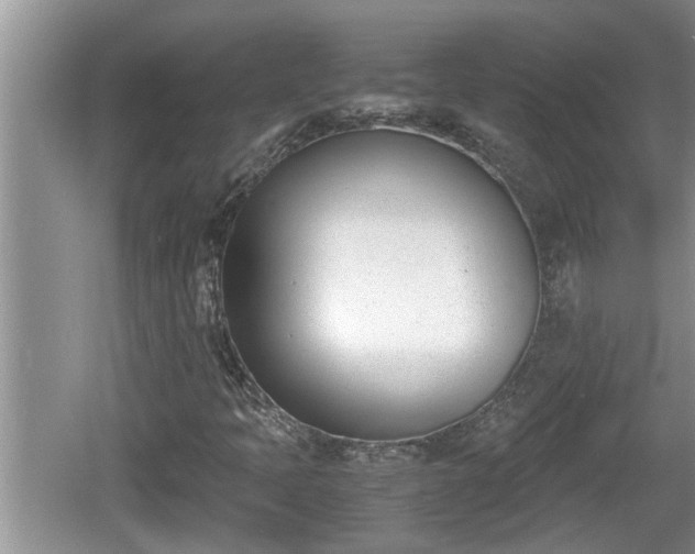 X0000060801397200511171229