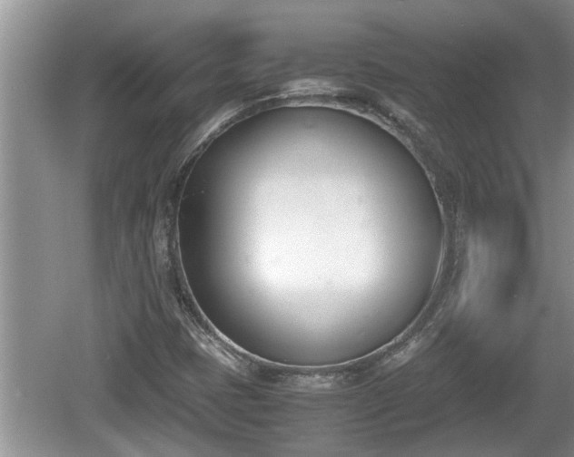 X0000060801401200511171229