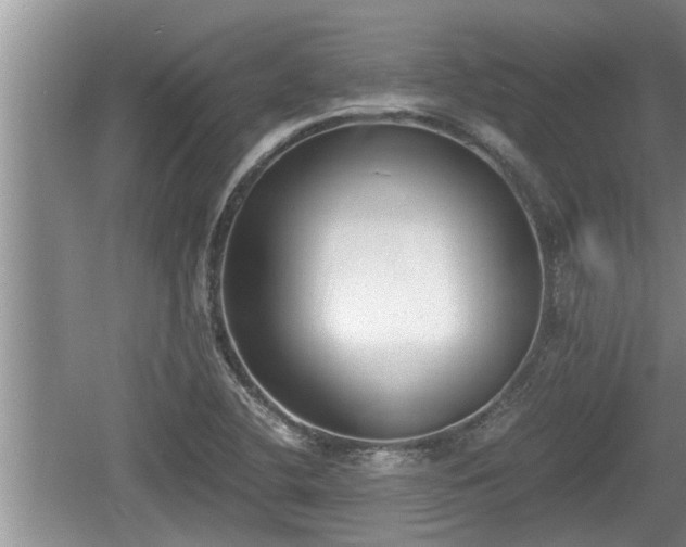 X0000060801412200511171229