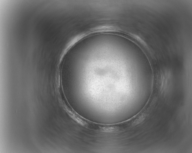 X0000060801413200511171230