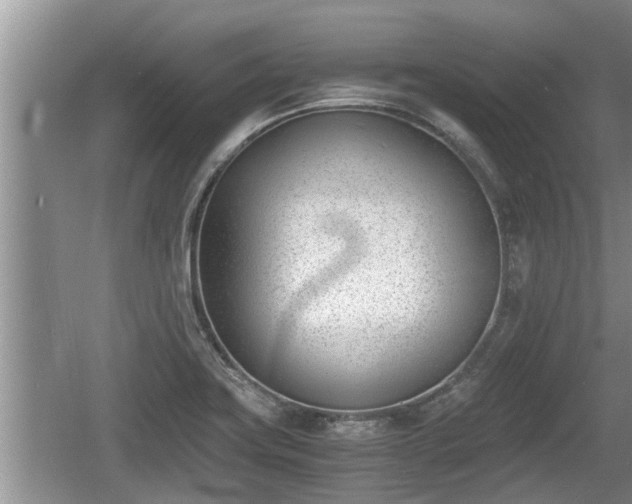 X0000060801419200511171230