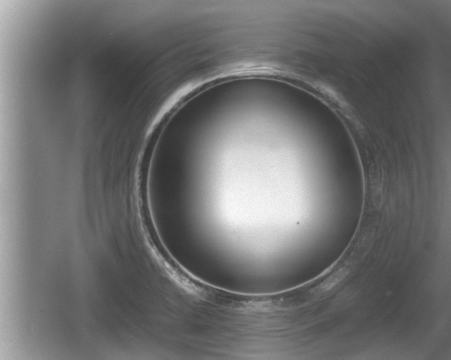 X0000060801422200511171230