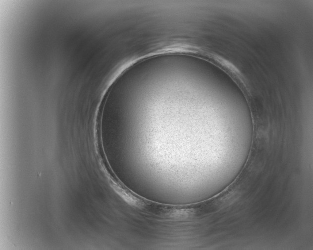 X0000060801423200511171230