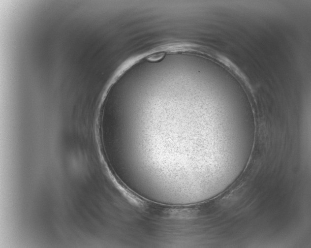 X0000060801429200511171230