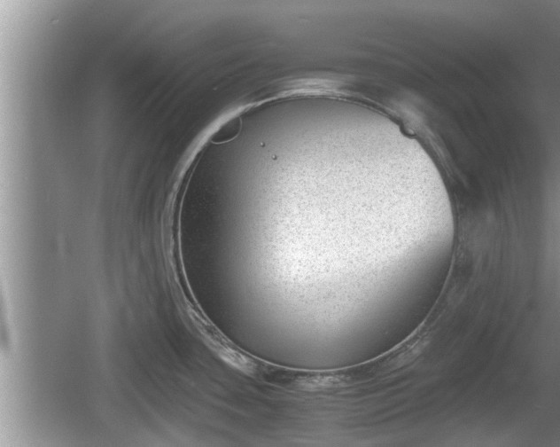 X0000060801435200511171230