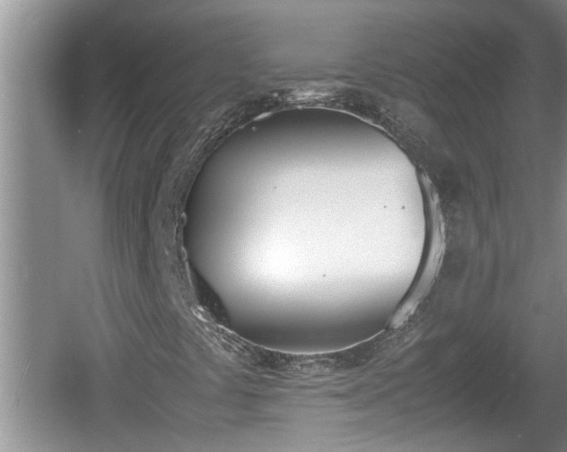 X0000060801441200511171229