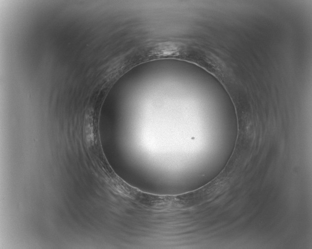 X0000060801442200511171229