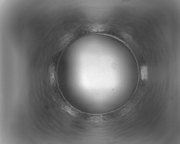 X0000060801444200511171229