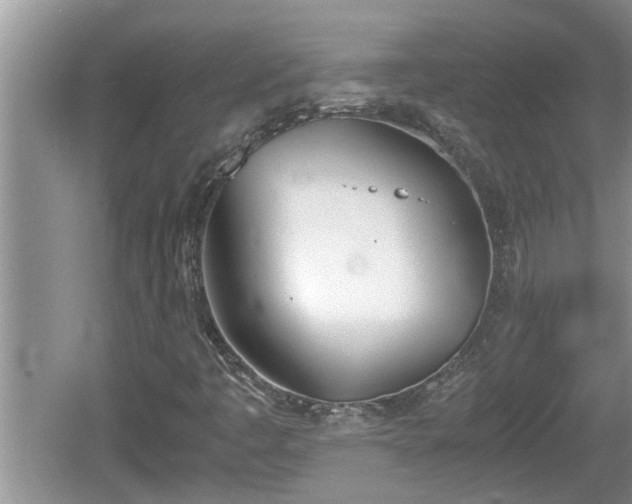 X0000060801445200511171229