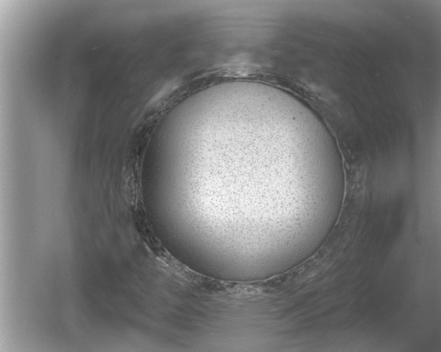 X0000060801446200511171229