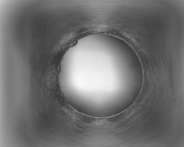 X0000060801447200511171229