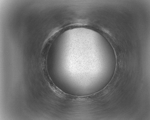 X0000060801448200511171229