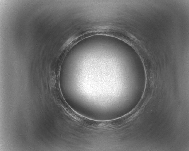 X0000060801449200511171229