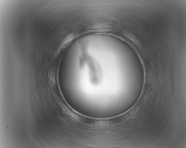 X0000060801451200511171229