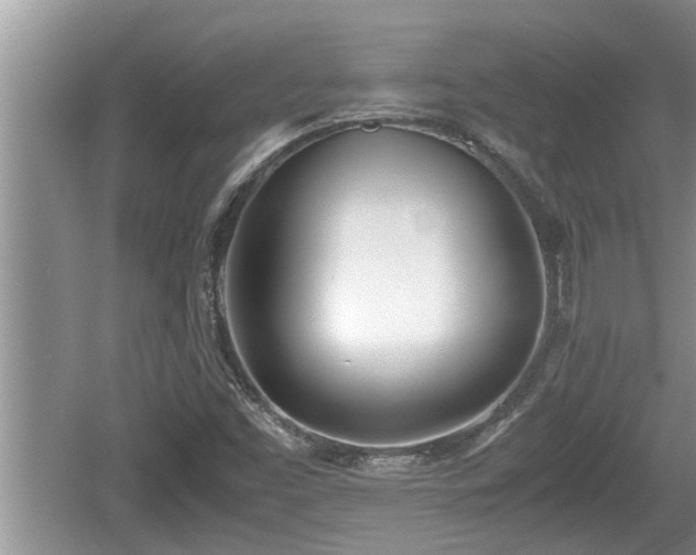 X0000060801453200511171229