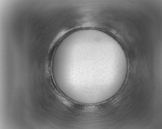 X0000060801454200511171229