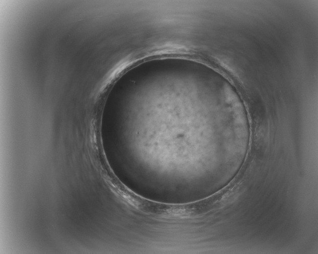 X0000060801455200511171229