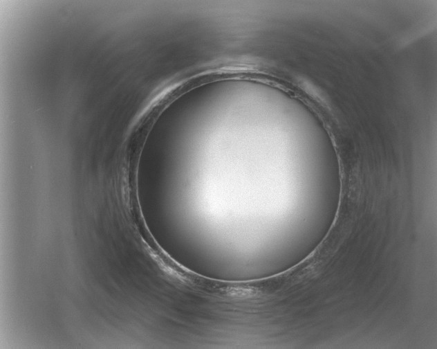 X0000060801456200511171229