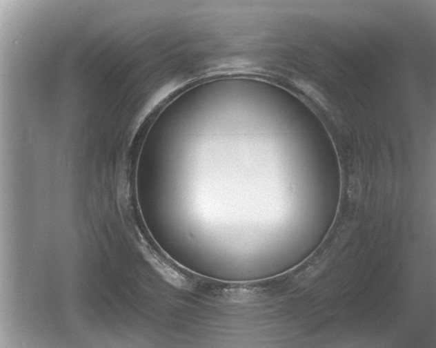 X0000060801458200511171229