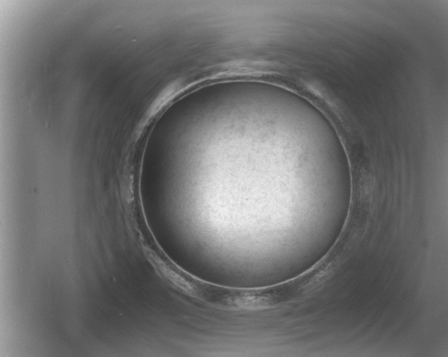 X0000060801459200511171229