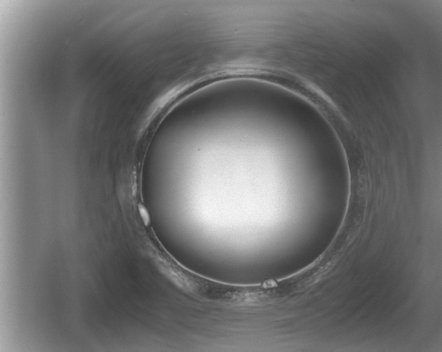 X0000060801461200511171229