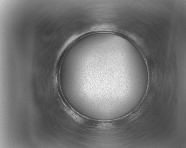 X0000060801462200511171229