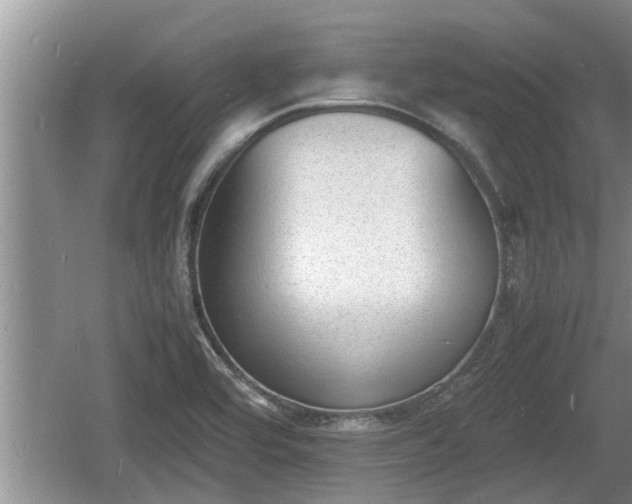 X0000060801464200511171229