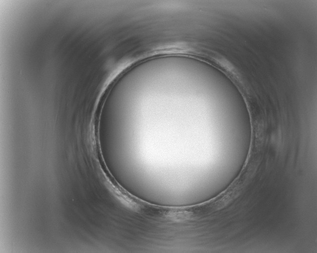 X0000060801466200511171229