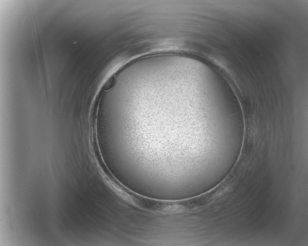 X0000060801467200511171229