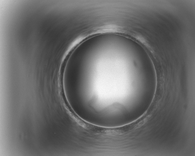 X0000060801469200511171229