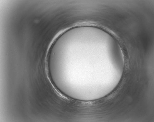 X0000060801470200511171229