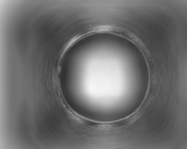 X0000060801473200511171229