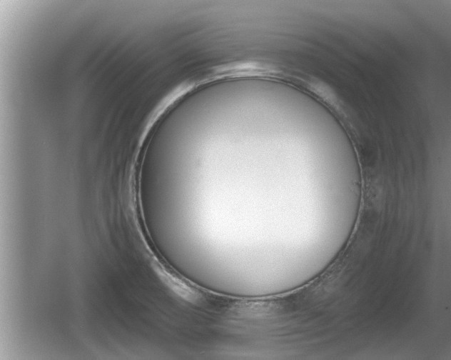 X0000060801474200511171229