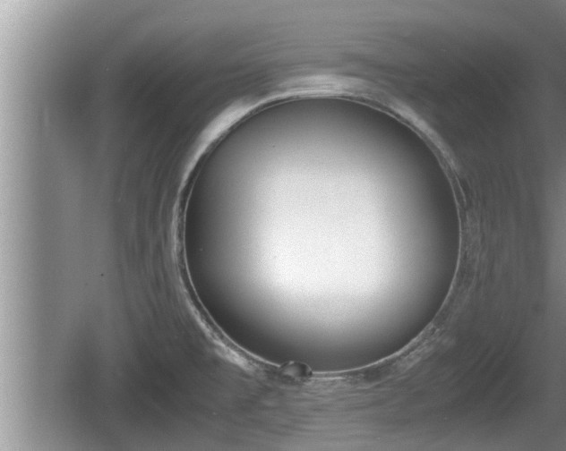 X0000060801477200511171229