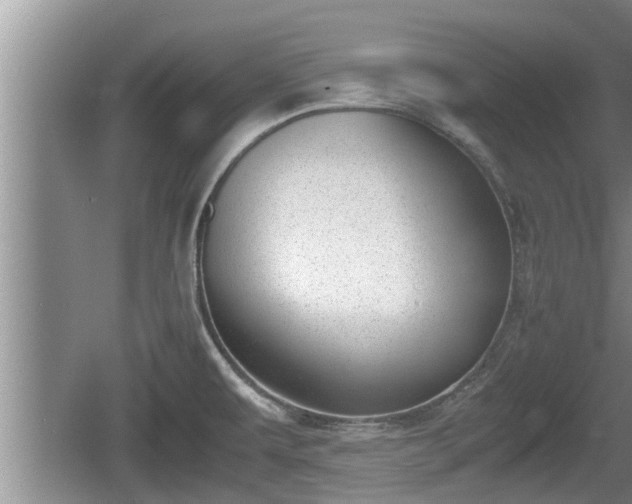 X0000060801479200511171229