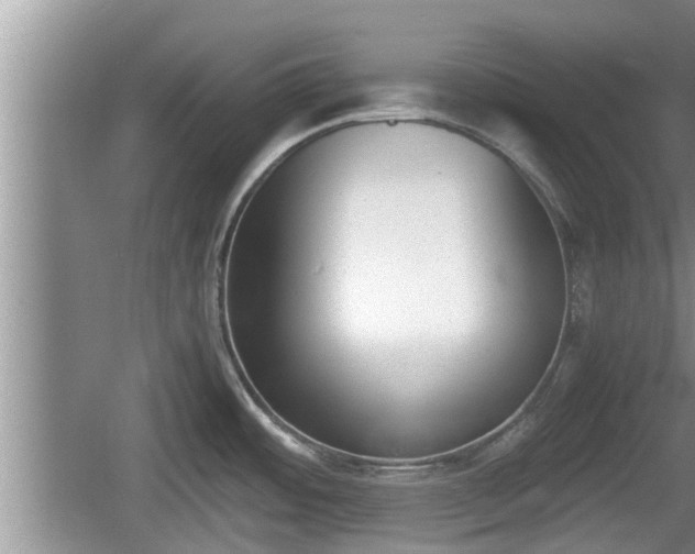 X0000060801484200511171228