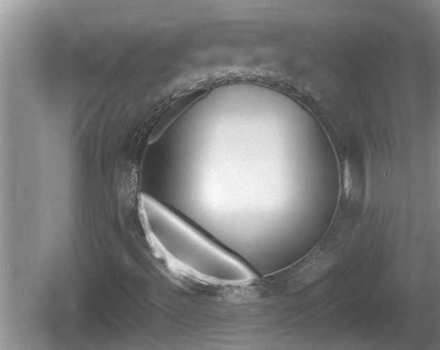 X0000060801492200511171228