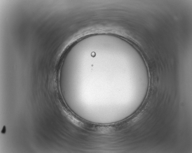 X0000060801498200511171228