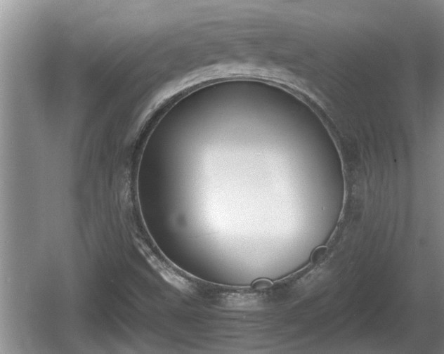 X0000060801499200511171228