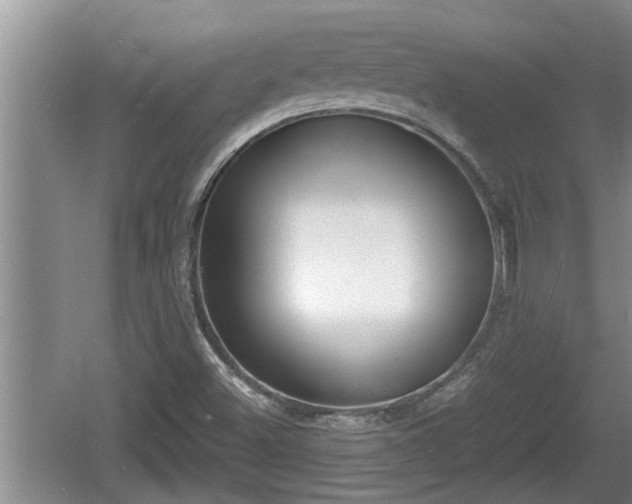 X0000060801500200511171228