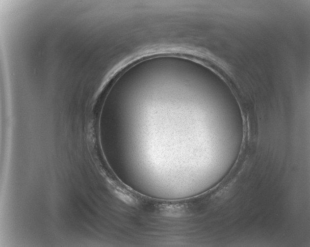 X0000060801501200511171228