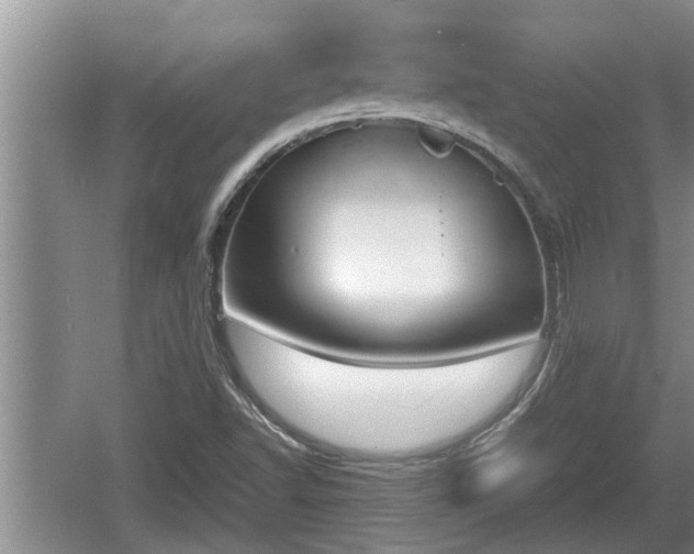 X0000060801502200511171228