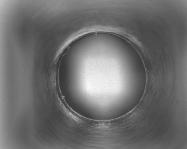 X0000060801504200511171228