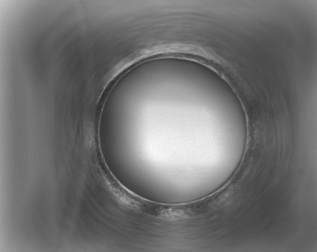 X0000060801505200511171228