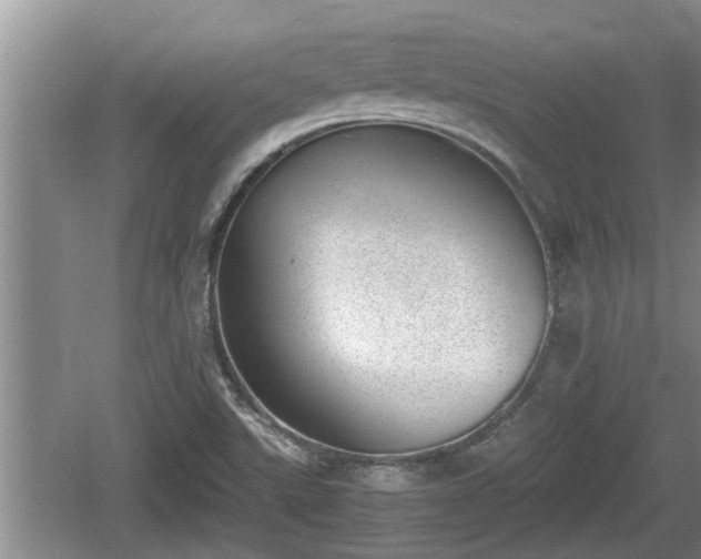 X0000060801507200511171228